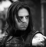 bucky